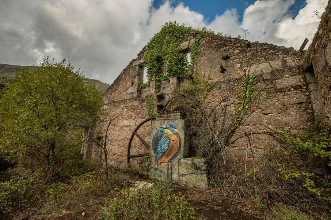 Ferienwohnung Quinta Do Pina Guarda Exterior foto